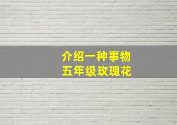 介绍一种事物 五年级玫瑰花